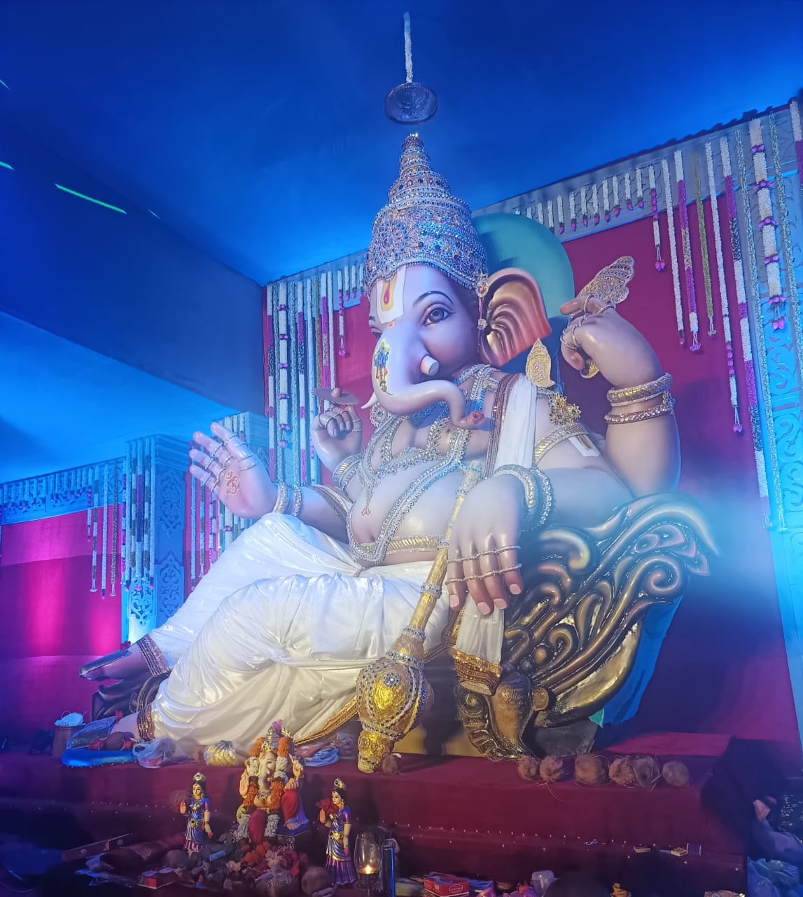 ये हैं कटघोरा के राजा…